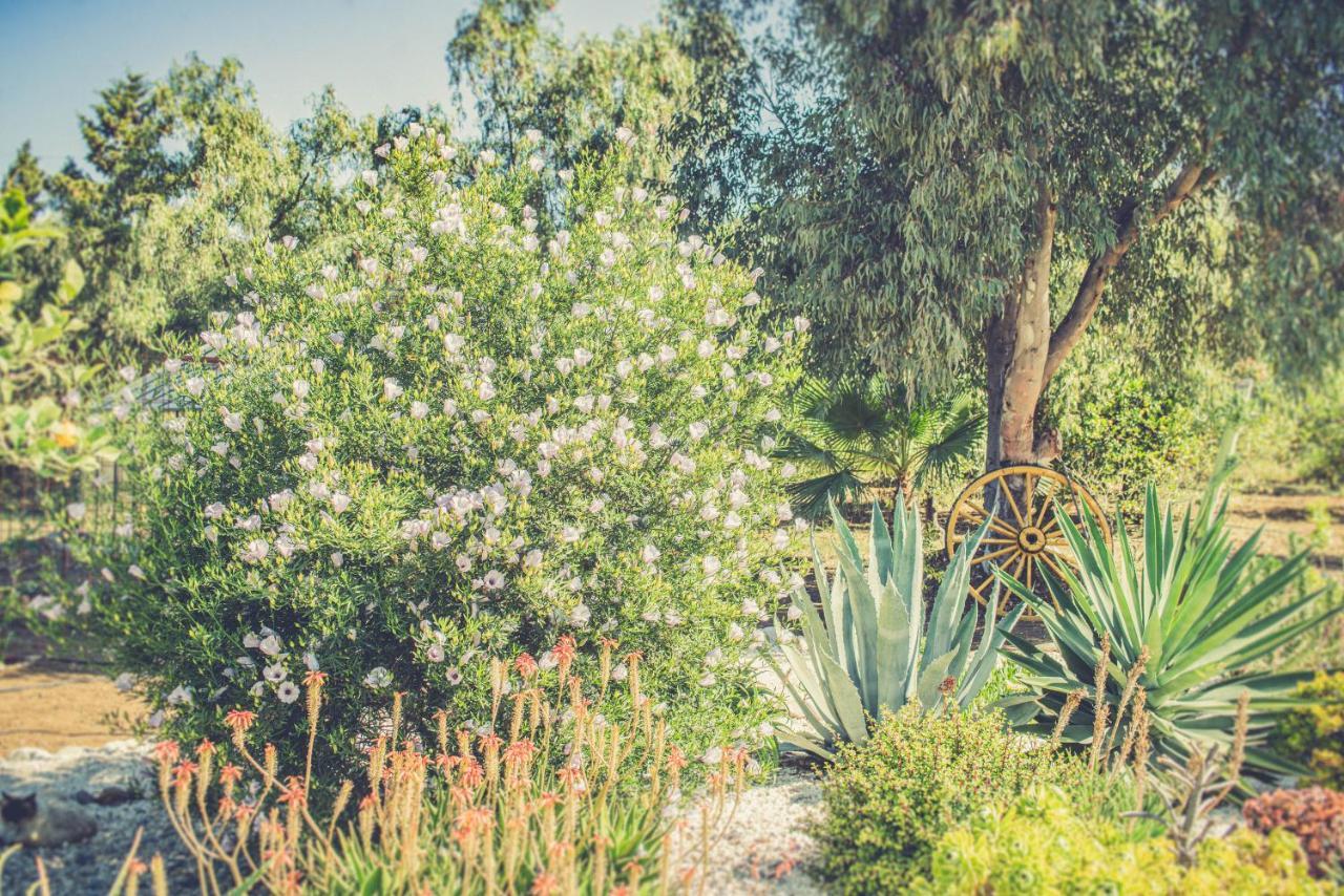 Finca El Limonar Álora Kültér fotó