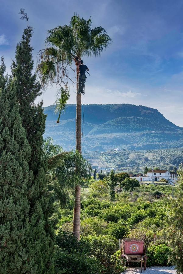 Finca El Limonar Álora Kültér fotó