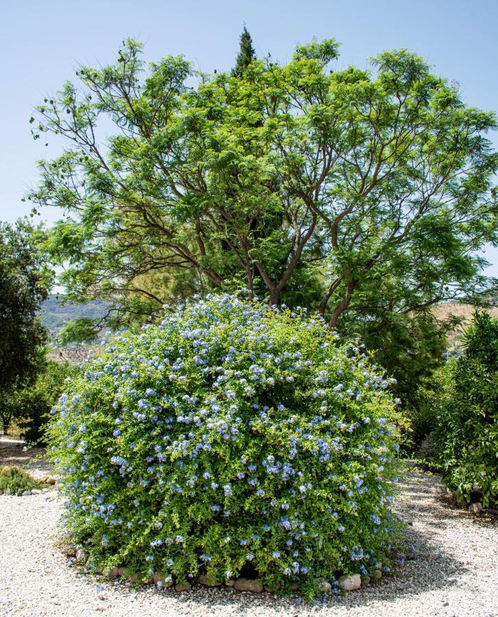 Finca El Limonar Álora Kültér fotó